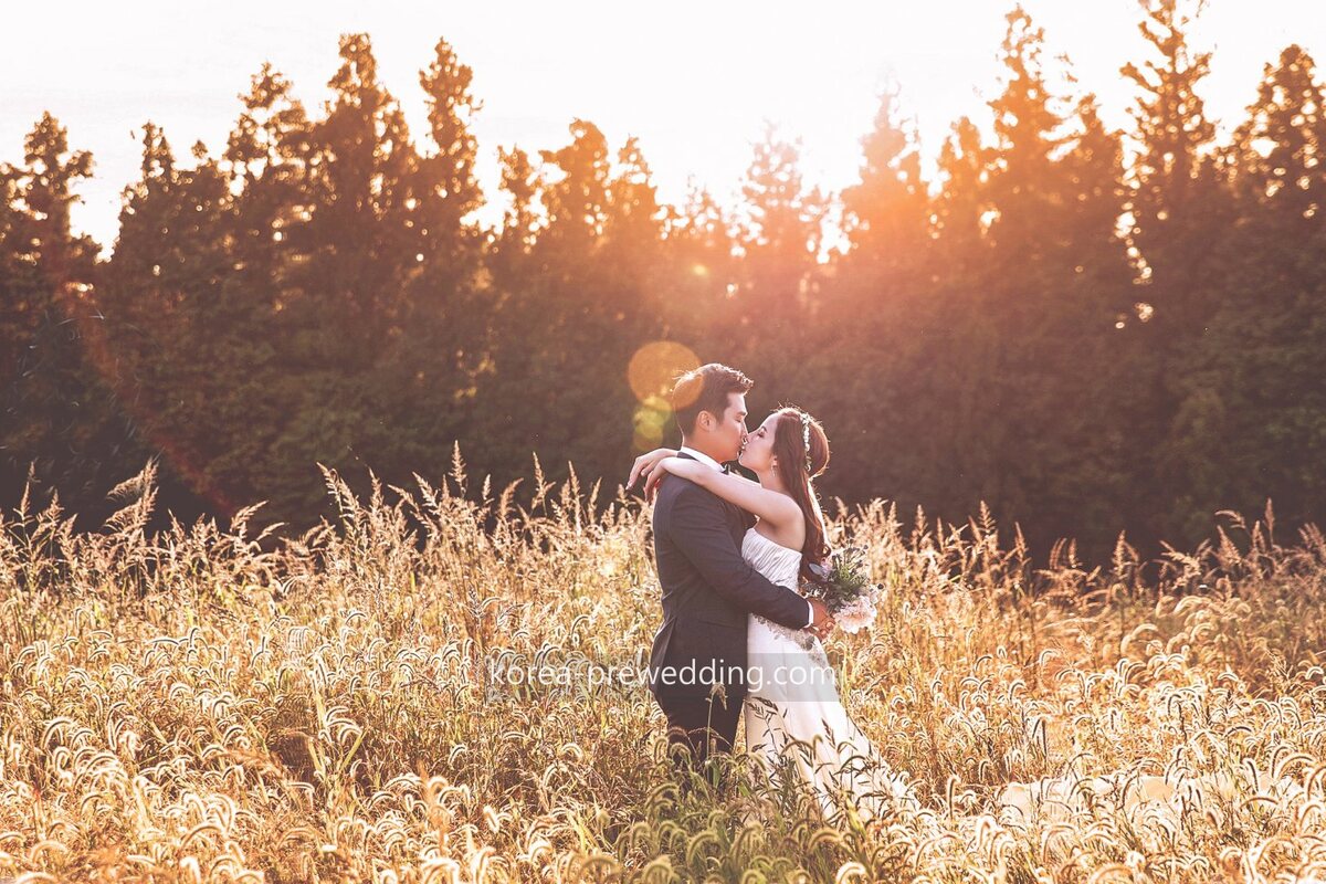Pink Muhly & Pampas Grass Pre-Wedding Guide: October–November Jeju 2026
